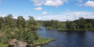 Гвардейское: Турбаза Простоквашино