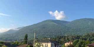 Гагра: Гостевой дом Delis