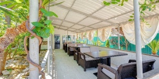 Ольгинка: Гостевой дом Век