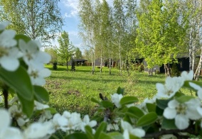 Глэмпинг Ustali в Липецкой области