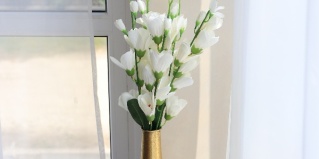 Амзара: Отель Вилла Абхазия