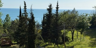 Сочи: Турбаза Лунная поляна