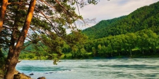 Чемальский район: Гостевой дом Чемальские просторы