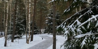 Никольское (сп Деревня Никольское): Глэмпинг Никольские росы