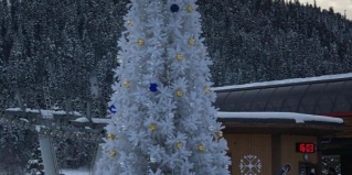 Архыз: Гостевой дом Сосновый бор