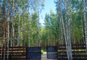 Глэмпинг Forest Nest в Республике Татарстан