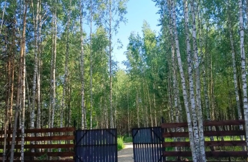 Лаишевский район: Глэмпинг Forest Nest