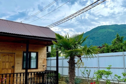 Гагра: Гостевой дом Delis