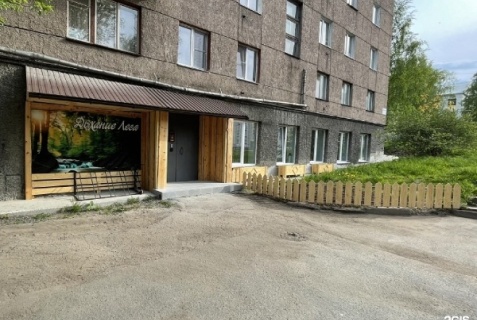 Петрозаводск: Мини-отель Дыхание леса