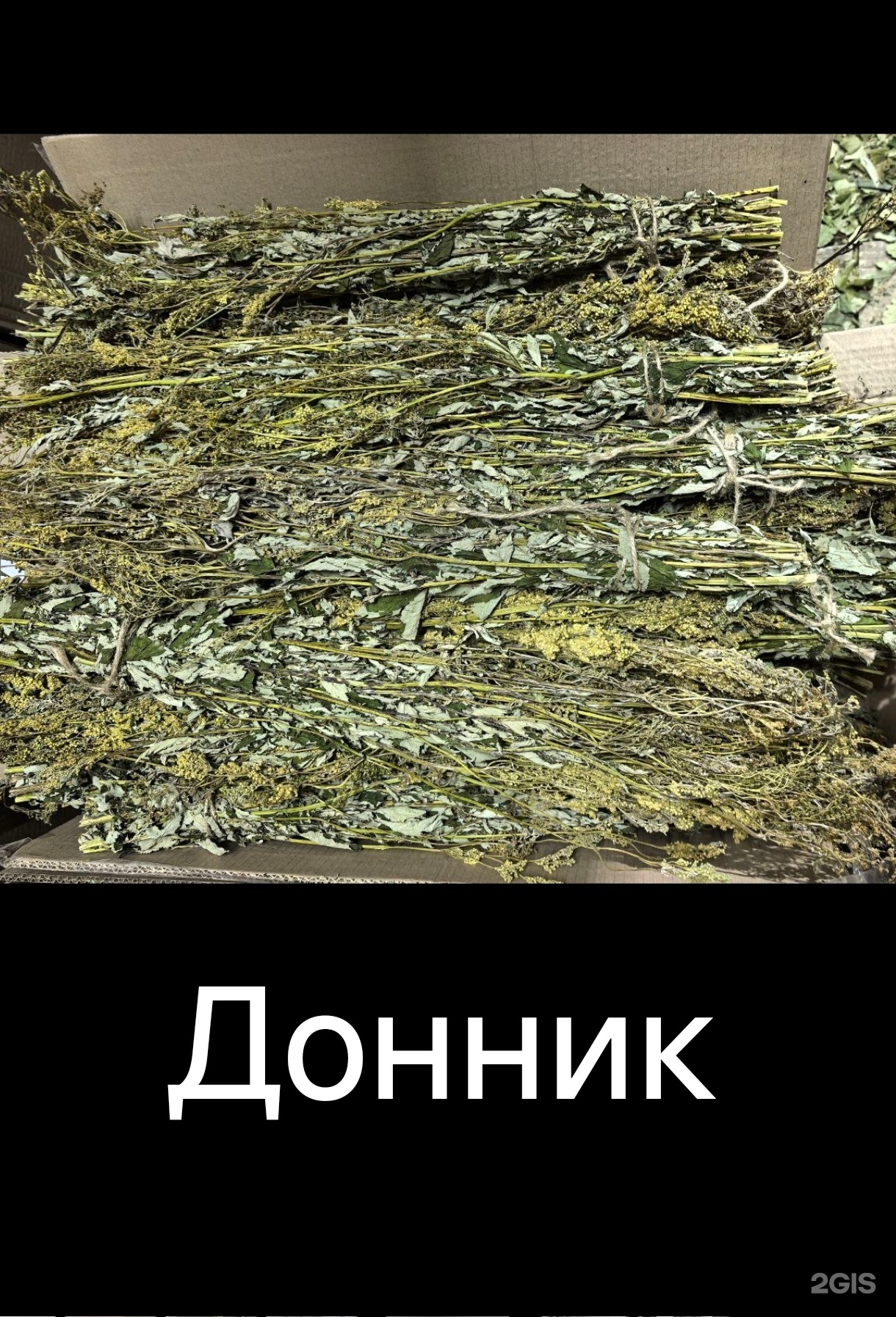 Банник