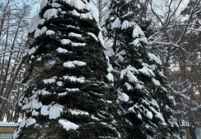 Отель Родничок в Чебаркуль